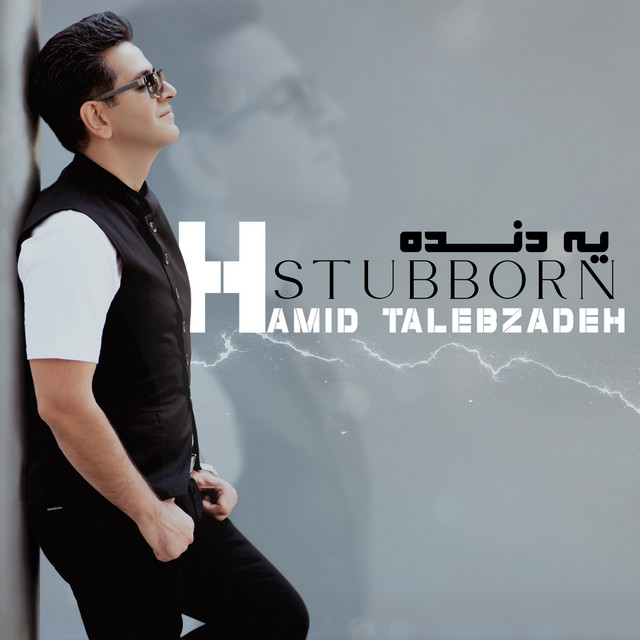 کاور آهنگ لجباز از حمید طالب‌زاده