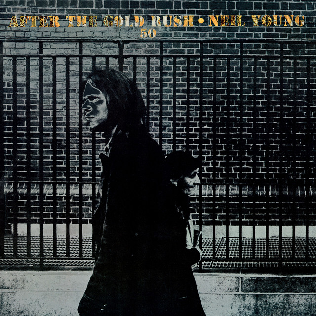 کاور آهنگ I Believe in You از Neil Young