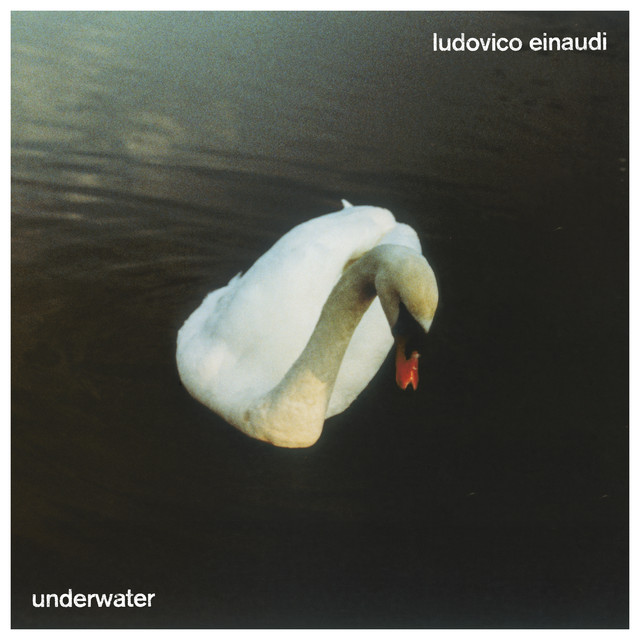 کاور آهنگ Wind Song از Ludovico Einaudi