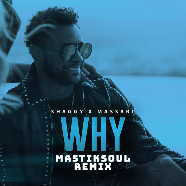 کاور آهنگ Why - Mastiksoul Remix از Massari, Shaggy, Mastiksoul