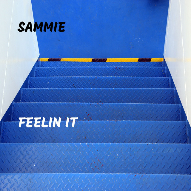 کاور آهنگ Feelin It از Sammie