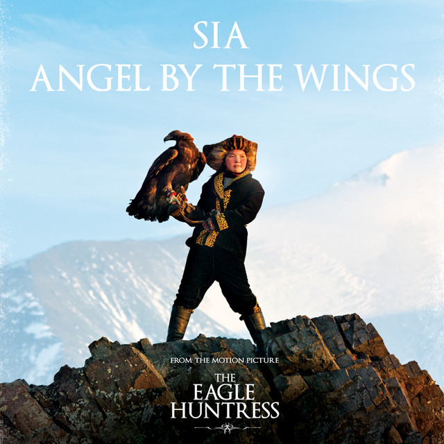 کاور آهنگ Angel By The Wings از Sia