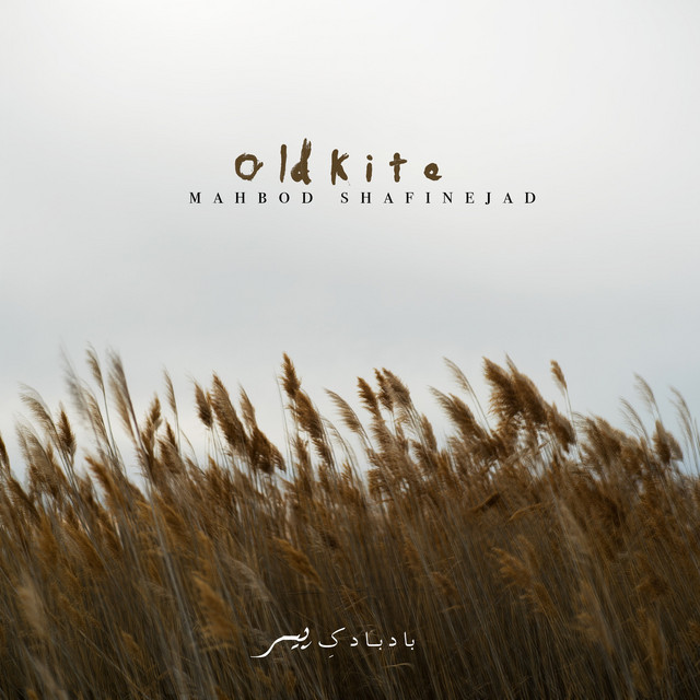 کاور آهنگ ۰۳-سبز از مهبد شفیع نژاد