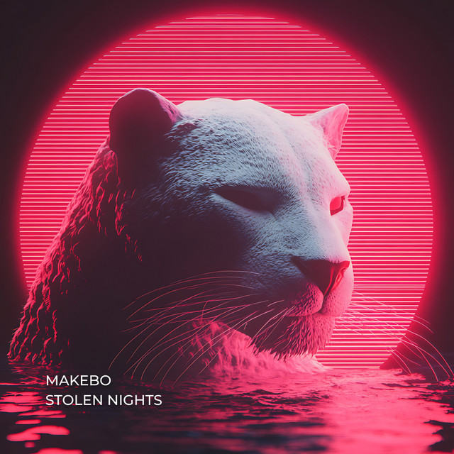 کاور آهنگ Stolen Nights از Makebo