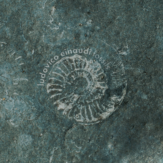کاور آهنگ Fossils از Ludovico Einaudi