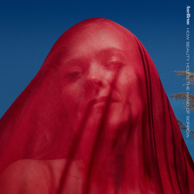 کاور آهنگ Meet You at The Delta از Ane Brun