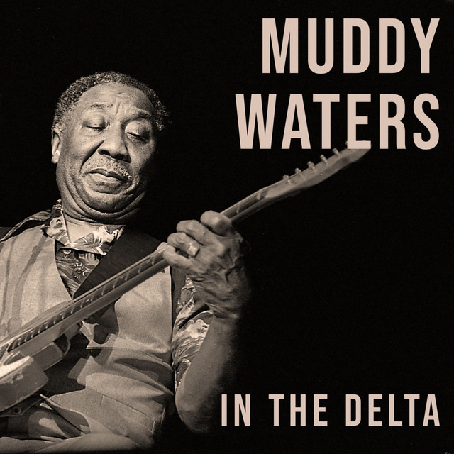 کاور آهنگ She Moves Me از Muddy Waters
