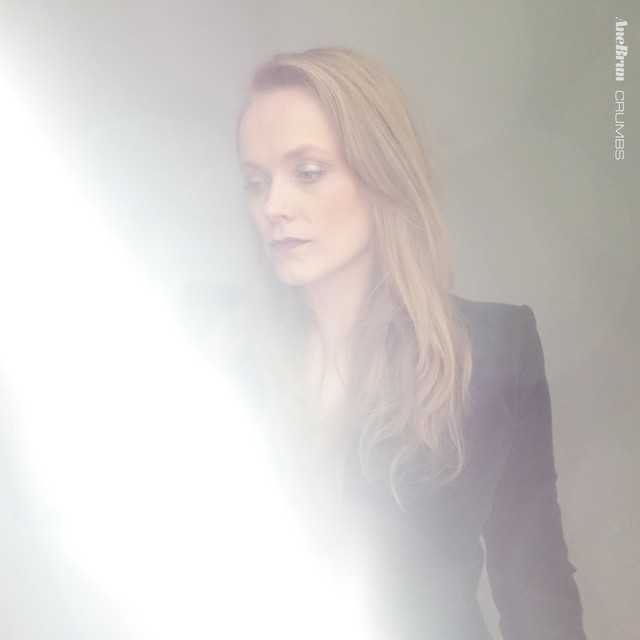 کاور آهنگ Crumbs - Radio Edit از Ane Brun