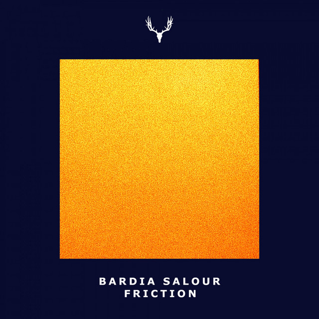 کاور آهنگ Friction - Different Ray Remake از Bardia Salour