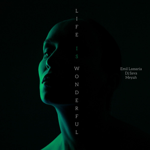 کاور آهنگ Life Is Wonderful از Dj Sava