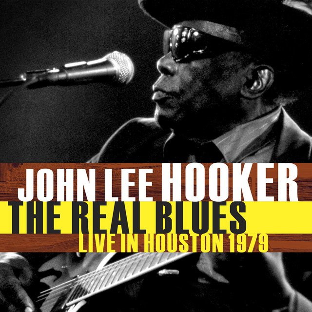کاور آهنگ Go Back to School از John Lee Hooker