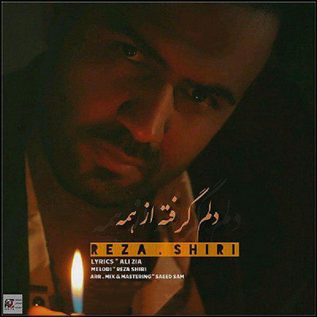 کاور آهنگ دلم از همه گرفته از رضا شیری