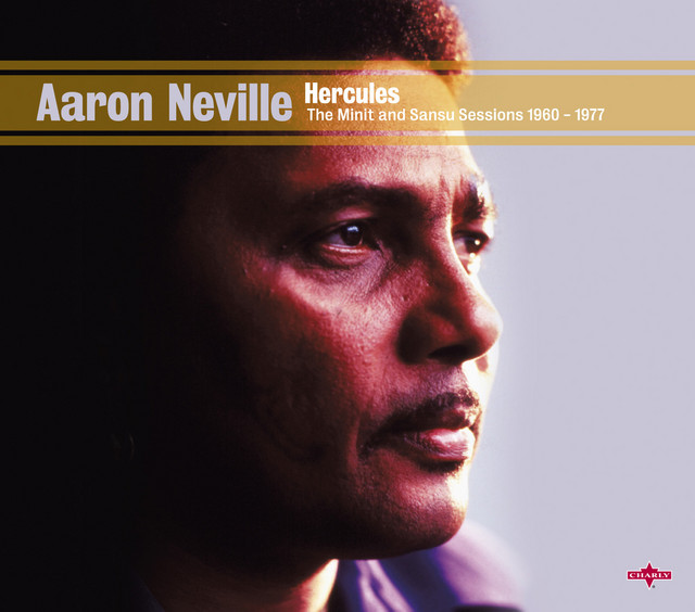 کاور آهنگ Reality (Even Though) از Aaron Neville