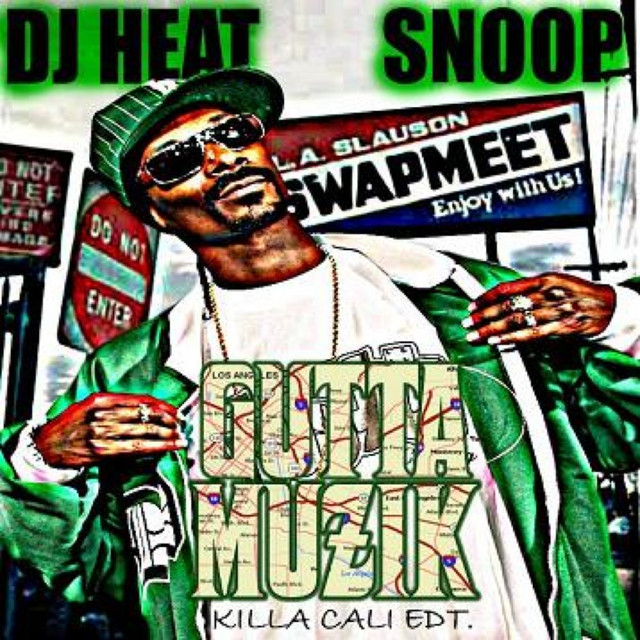 کاور آهنگ Driving Down The Freeway (verse) از Snoop Dogg