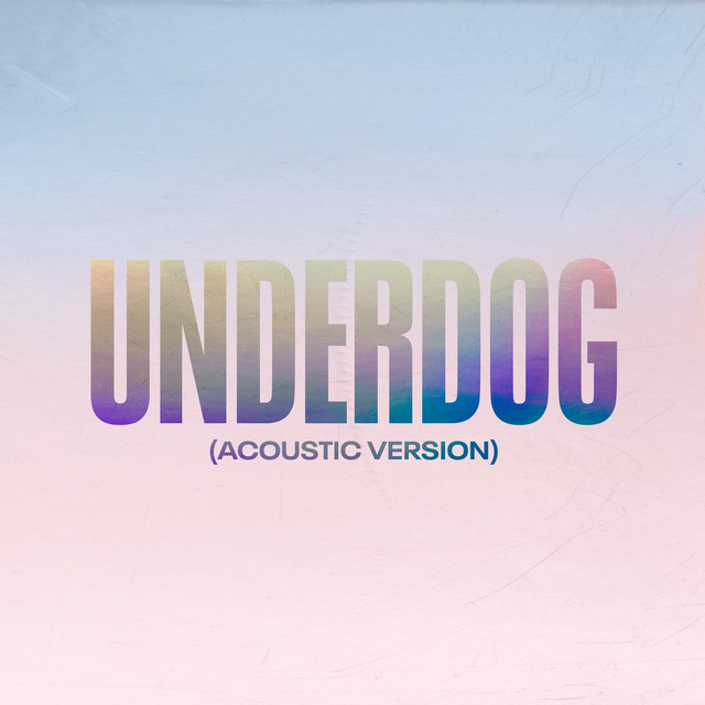 کاور آهنگ Underdog - Acoustic Version از Alicia Keys