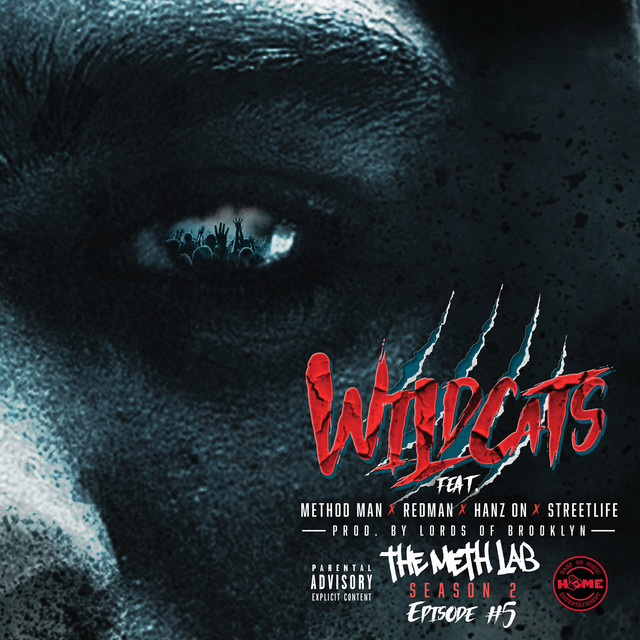 کاور آهنگ Wild Cats از Method Man, Redman