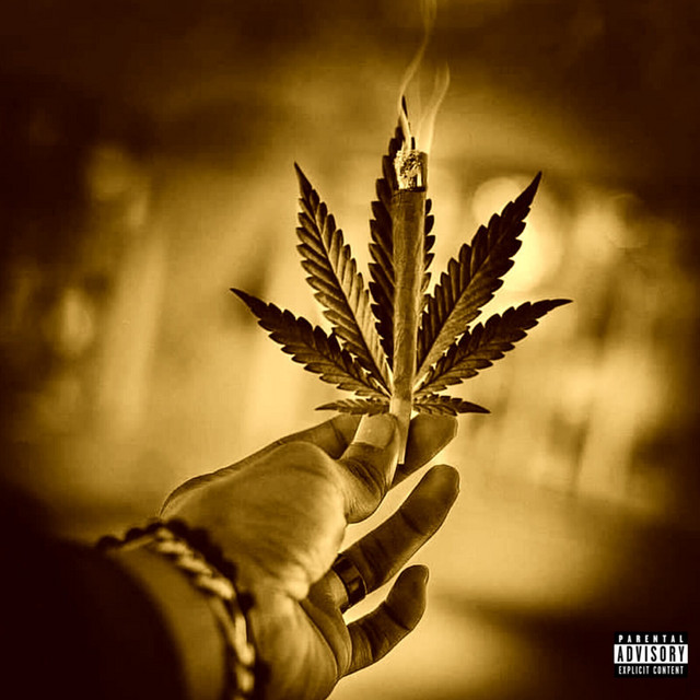 کاور آهنگ Cali Leaf از Project Pat