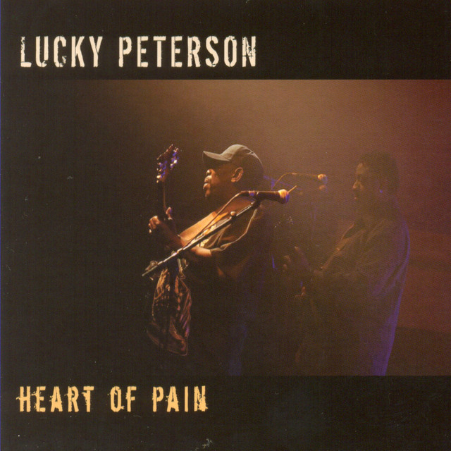 کاور آهنگ I Won't Be Fooled از Lucky Peterson