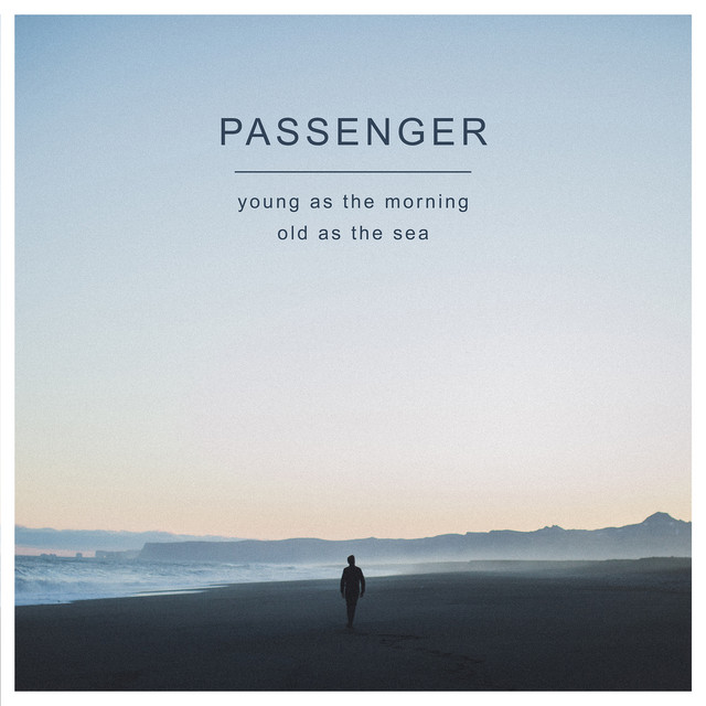کاور آهنگ Beautiful Birds (feat. Birdy) از Birdy, Passenger