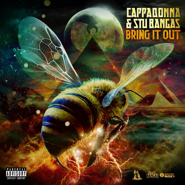 کاور آهنگ Bring It Out از Cappadonna