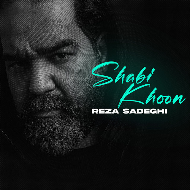 کاور آهنگ شبیخون از رضا صادقی
