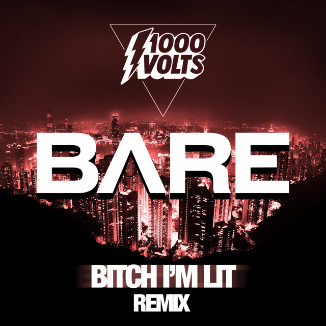 کاور آهنگ B!%ch I'm Lit - BARE Remix از Redman