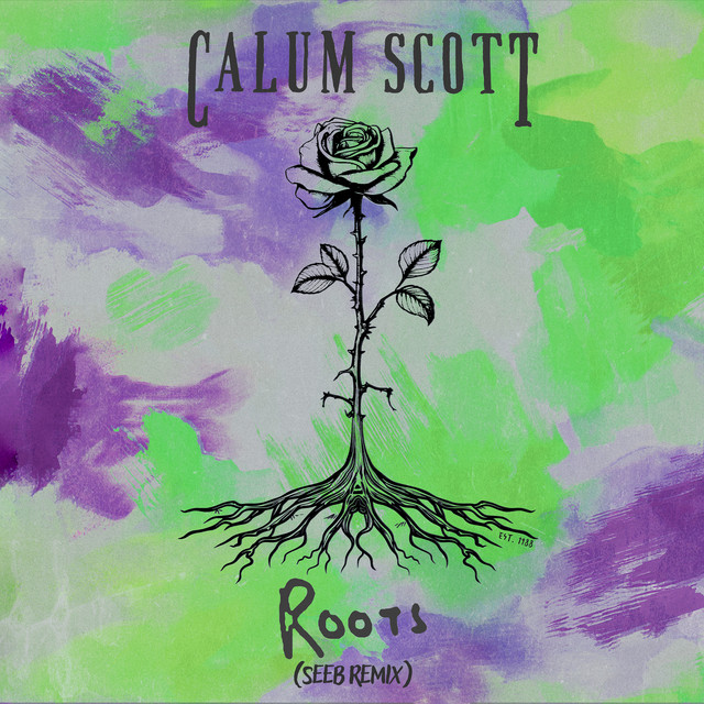 کاور آهنگ Roots - Seeb Remix از Calum Scott, Seeb