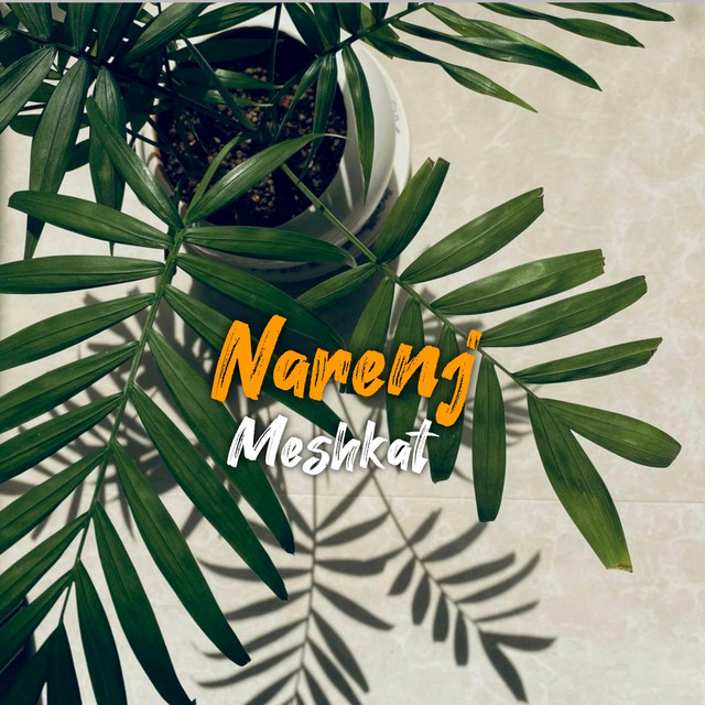 کاور آهنگ نارنج از آرش بیات, مشکات