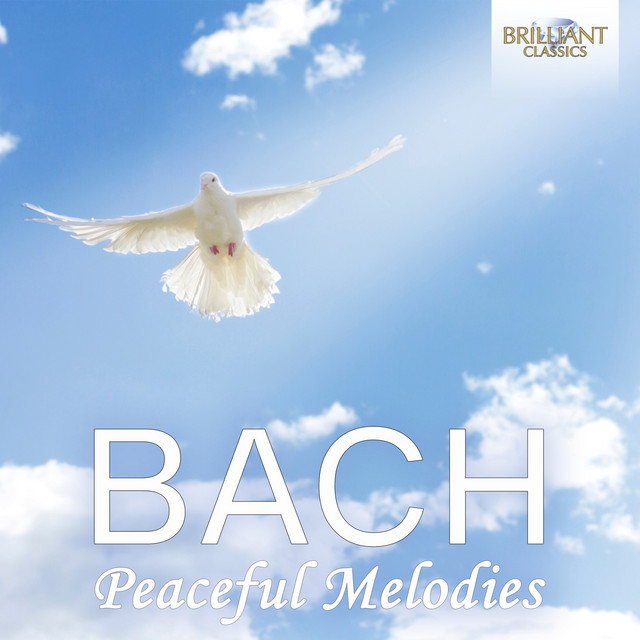 کاور آهنگ Suite in D Major, BWV 1068: II. Air از Johann Sebastian Bach, Gewandhausorchester