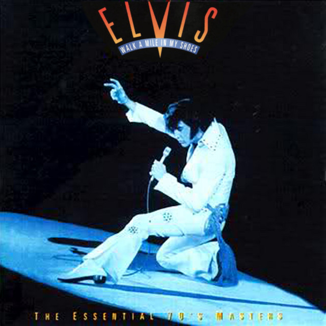 کاور آهنگ T-R-O-U-B-L-E از Elvis Presley
