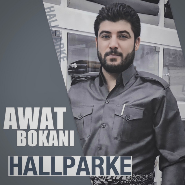 کاور آهنگ Hallparke از Awat Bokani