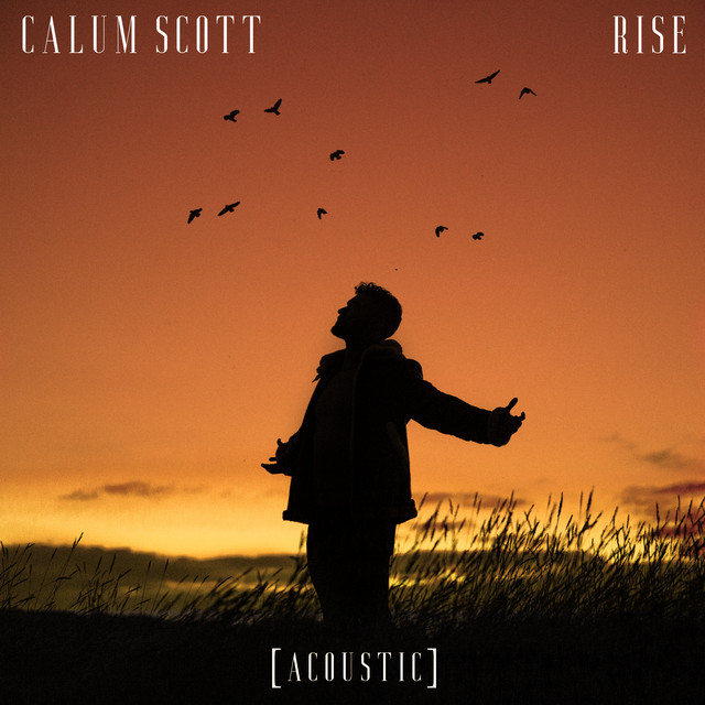 کاور آهنگ Rise - Acoustic از Calum Scott