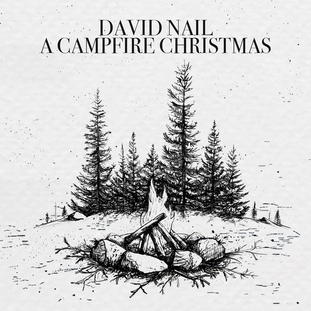 کاور آهنگ Have Yourself a Merry Little Christmas از David Nail