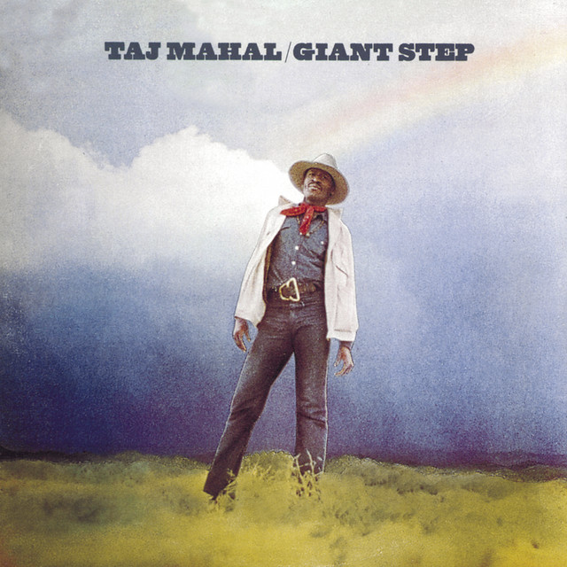 کاور آهنگ Linin' Track از Taj Mahal