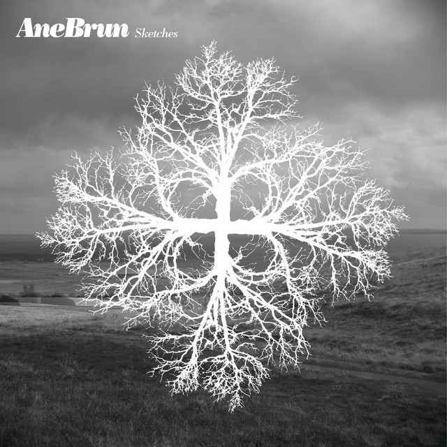 کاور آهنگ The Puzzle - Sketches Version از Ane Brun