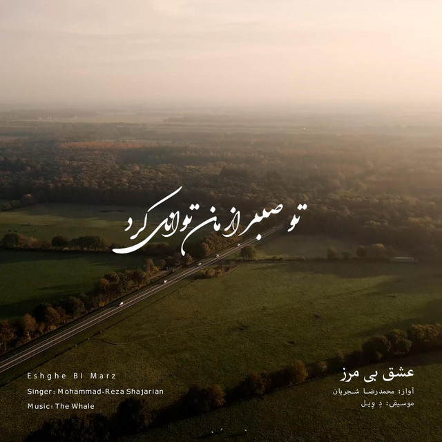 کاور آهنگ عشق بی‌مرز - بازآفرینی اثر محمدرضا شجریان از دِ وِیل