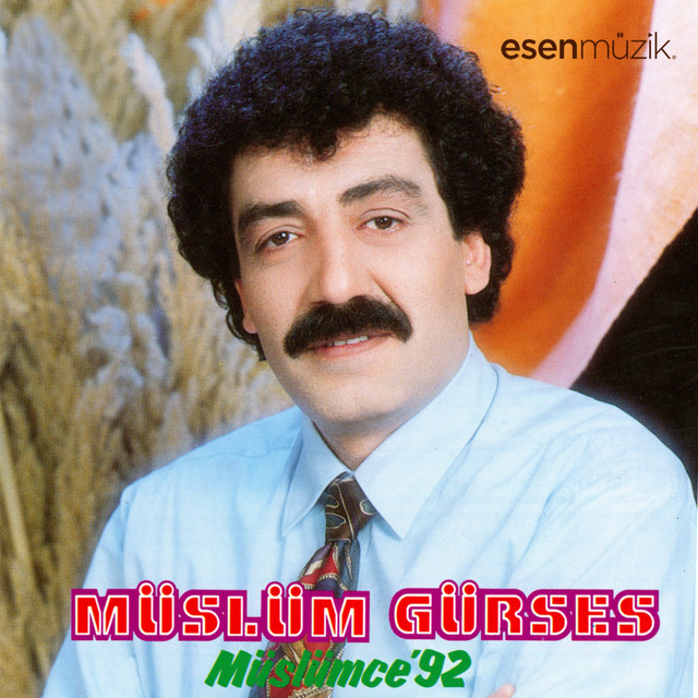 کاور آهنگ Alışırım از Muslum Gurses
