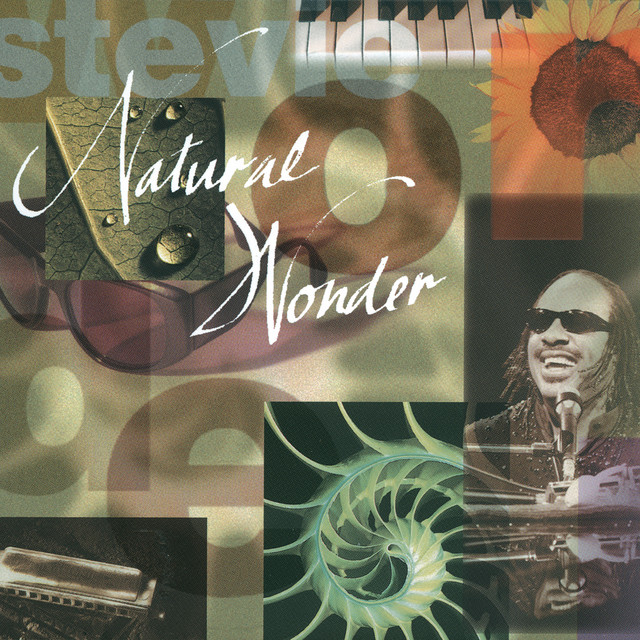کاور آهنگ I Just Called To Say I Love You - Live/1995 از Stevie Wonder