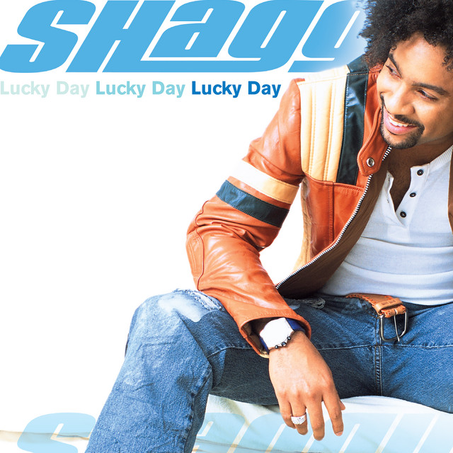 کاور آهنگ Strength Of A Woman از Shaggy