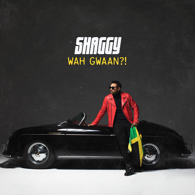 کاور آهنگ Use Me از Shaggy