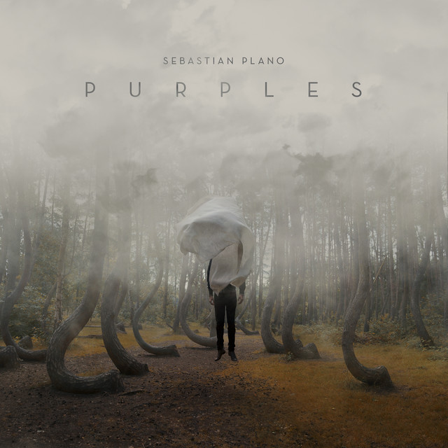 کاور آهنگ Purples از Sebastian Plano