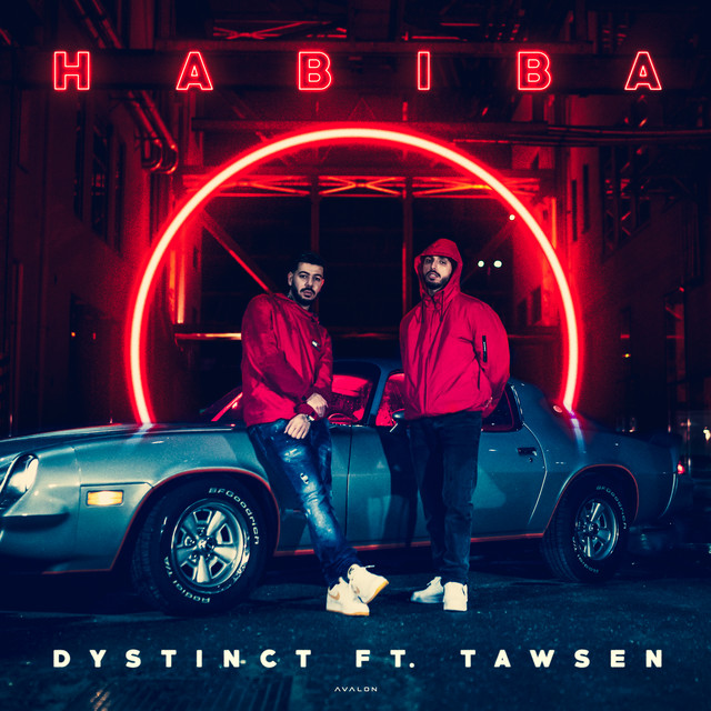 کاور آهنگ Habiba (feat. Tawsen) از DYSTINCT, Tawsen