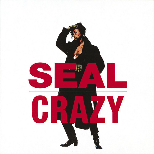 کاور آهنگ Crazy - Single Mix از Seal