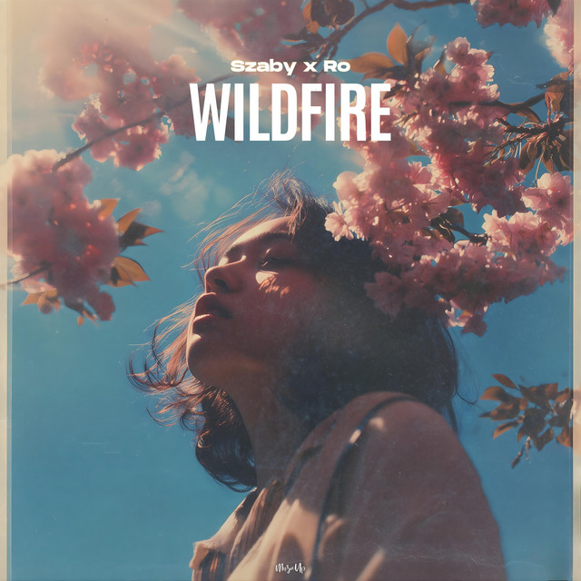 کاور آهنگ Wildfire از Ro