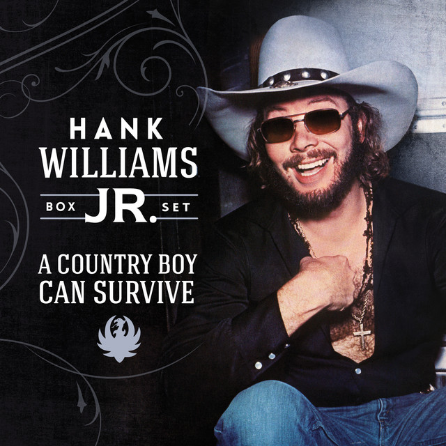 کاور آهنگ Queen Of My Heart از Hank Williams, Jr.