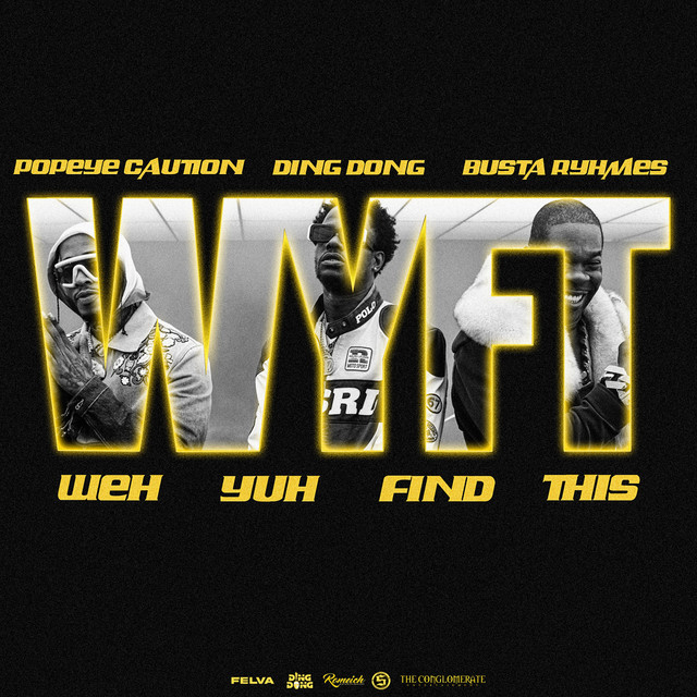کاور آهنگ WYFT (WEH YUH FIND THIS) از Busta Rhymes, DING DONG