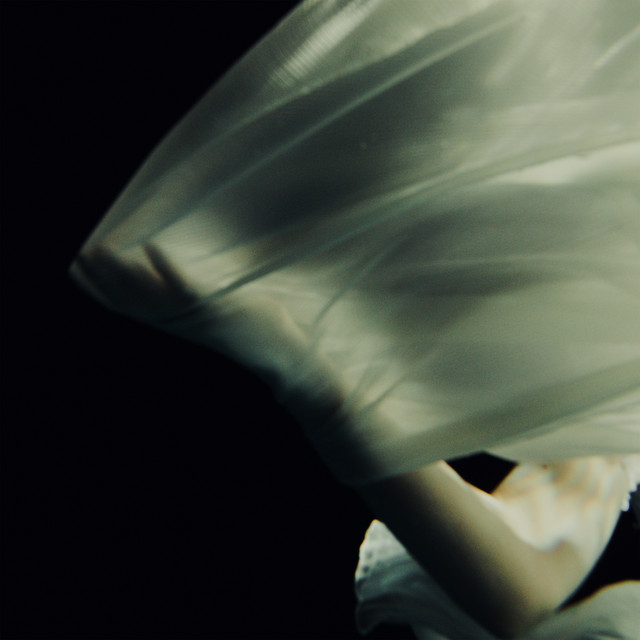 کاور آهنگ Heaven, Wait (Acoustic) از Ghostly Kisses