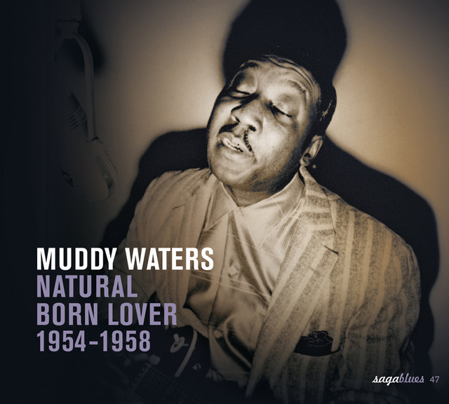 کاور آهنگ Close To You از Muddy Waters