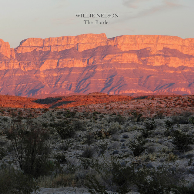 کاور آهنگ Nobody Knows Me Like You از Willie Nelson