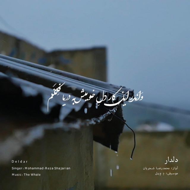 کاور آهنگ دلدار - بازآفرینی اثر محمدرضا شجریان از دِ وِیل